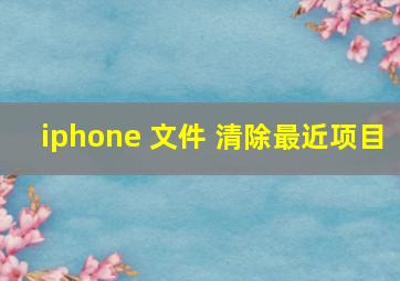 iphone 文件 清除最近项目